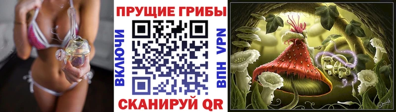Псилоцибиновые грибы MAGIC MUSHROOMS  где купить наркоту  Курлово 
