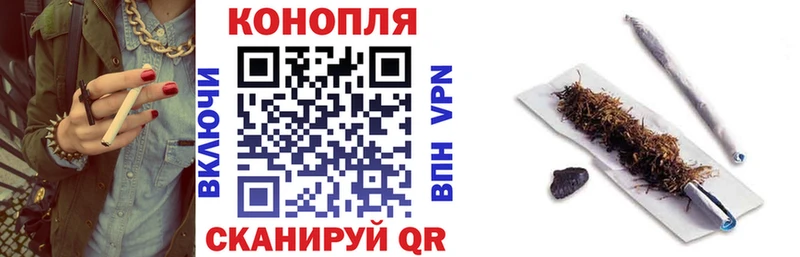 Каннабис MAZAR  Курлово 